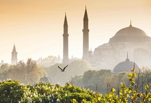 Классический Стамбул + Яловa