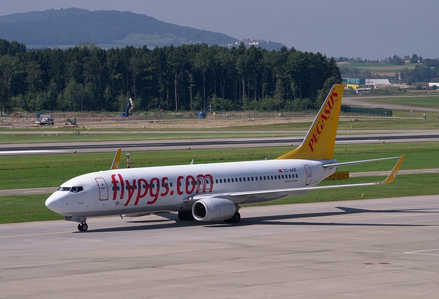 В Турцию полетят на самолетах Pegasus Airlines