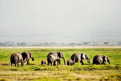 Кения + Танзания (экспресс-тур)