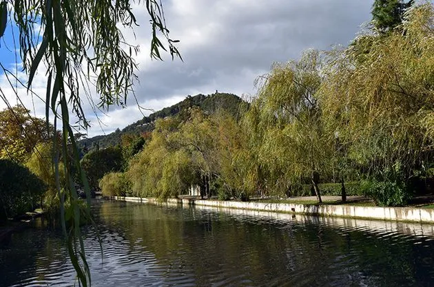 Отель SVK HOTEL